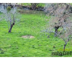 Se vende parcela urbana en Narganes, Peñamellera Baja