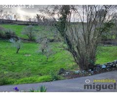 Se vende parcela urbana en Narganes, Peñamellera Baja