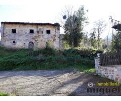 Se vende Casa-Palacio en La Collada ,Peñamellera Alta