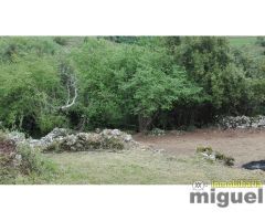 Se vende parcela  edificable de 700 m, en el Concejo de Llanes