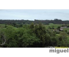 Se vende parcela  edificable de 700 m, en el Concejo de Llanes