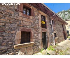 Se vende gran propiedad con terreno en La Hermida, Peñarrubia, Cantabria