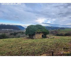 Se vende terreno de más de 10.000 metros con cabaña para rehabilitar en Val de San Vicente