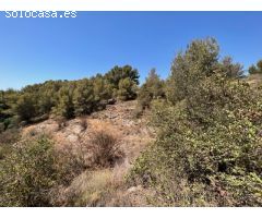 Finca rústica en carretera Frigiliana