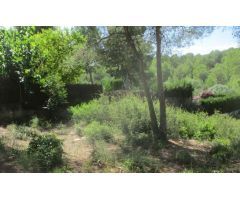 EN VENTA SOLAR EN EL CATLLAR