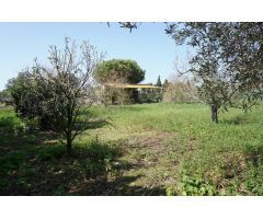 Casa de campo en Venta en Barcarrota, Cádiz