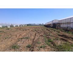 Finca rustica en Venta en Chipiona, Cádiz