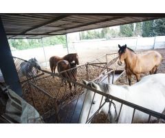 Finca rustica en Venta en Barcarrota, Cádiz