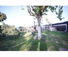 Casa de campo en Venta en Chipiona, Cádiz