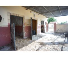 Casa de campo en Venta en Sanlúcar de Barrameda, Cádiz