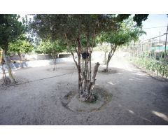Casa de campo en Venta en Sanlúcar de Barrameda, Cádiz