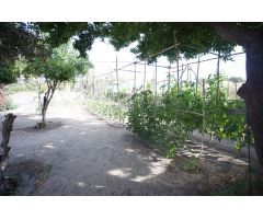 Casa de campo en Venta en Sanlúcar de Barrameda, Cádiz