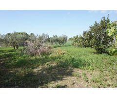Casa de campo en Venta en Barcarrota, Cádiz