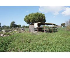 Casa de campo en Venta en Barcarrota, Cádiz