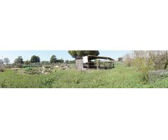 Casa de campo en Venta en Barcarrota, Cádiz