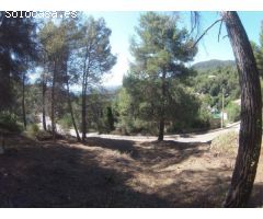 VENTA TERRENO URBANO EN CABRERA DANOIA 1116M2!!
