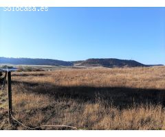 Finca rustica en Venta en Tudela de Duero, Valladolid