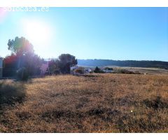 Finca rustica en Venta en Tudela de Duero, Valladolid