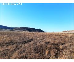 Finca rustica en Venta en Tudela de Duero, Valladolid