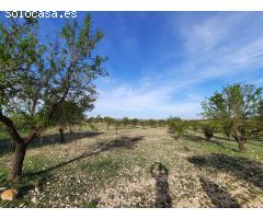 TERRENO PARA SU CASA DE CAMPO EN CANTO BLANCO