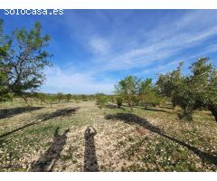 TERRENO PARA SU CASA DE CAMPO EN CANTO BLANCO