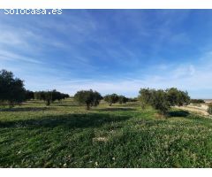 TERRENO PARA SU CASA DE CAMPO EN CANTO BLANCO