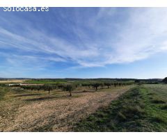 TERRENO PARA SU CASA DE CAMPO EN CANTO BLANCO