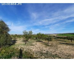 TERRENO PARA SU CASA DE CAMPO EN CANTO BLANCO