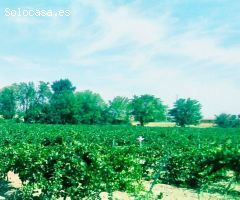 Finca rustica en Venta en Aranjuez, Madrid
