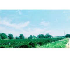 Finca rustica en Venta en Aranjuez, Madrid