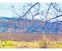 Finca rustica en Venta en Aranjuez, Madrid