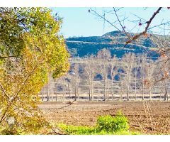 Finca rustica en Venta en Aranjuez, Madrid