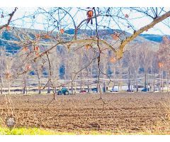 Finca rustica en Venta en Aranjuez, Madrid
