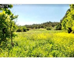 Finca rustica en Venta en Aranjuez, Madrid