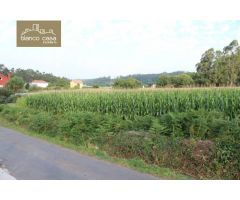 Terreno urbanizable de 1.200m2 en Rabadeira (Coristanco)