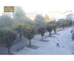 Alquiler de local comercial en rúa Coruña