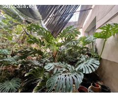 Chalet en Venta en Almoradí, Alicante
