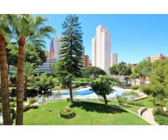 Acogedor estudio con vistas al mar y Benidorm en zona Rincon de Loix.
