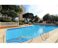 Acogedor estudio con vistas al mar y Benidorm en zona Rincon de Loix.