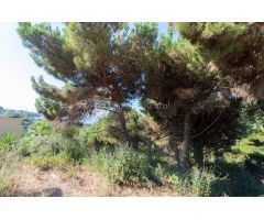 Parcela en Venta en Lloret de Mar, Girona