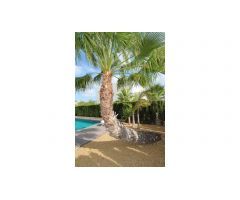 Vida de lujo en la Costa Blanca: en venta villa moderna con 3 dormitorios, amplia piscina y jardín t
