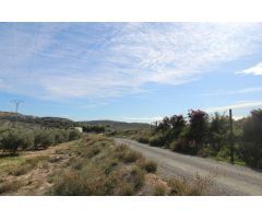 OPORTUNIDAD TERRENO RUSTICO EN PTDA VALLONGAS