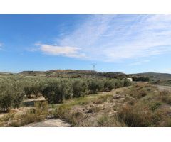 OPORTUNIDAD TERRENO RUSTICO EN PTDA VALLONGAS