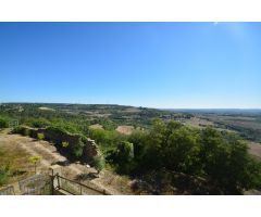 MASIA EN VENDA A VECIANA - PARCEL.LA DE 1500m2