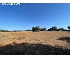 Casa de campo en Venta en Sant Llorenç des Cardassar, Islas Baleares