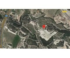 FINCA RUSTICA EN VENTA EN CASTALLA ALICANTE