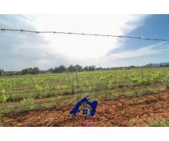 Casa de campo en Venta en Sencelles, Islas Baleares