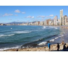 Local comercial en Venta en Benidorm, Alicante