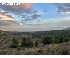 Finca rustica en Venta en la Nucia, Alicante