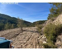 Finca rustica con olivos y almendros en Relleu Torremanzanes